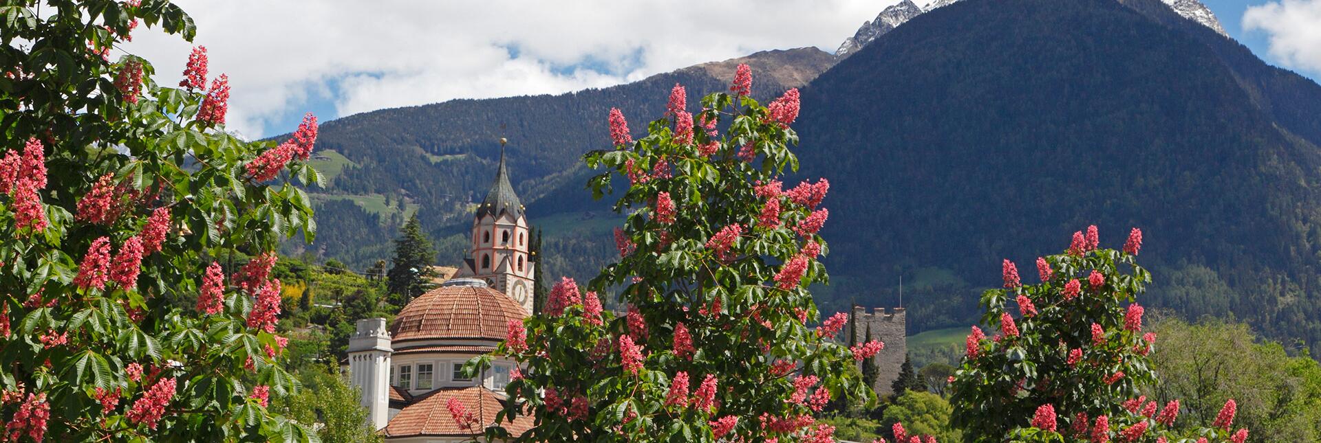 Meran im Frühling