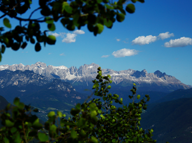 View of the mountains in spring